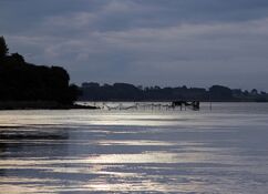 Der Kleine Belt in der Dämmerung mit einem Fischernetz im Wasser stehend, das sich als Silhouette vor der reflektierenden Oberfläche und dem bewölkten Himmel abzeichnet.
