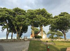 Hinter einer halbhohen Natursteinmauer steht eine kleine, weiße Kirche mit rotem Dach umgeben von majestätischen Bäumen mit ausladenden Kronen.