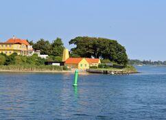 Landschaft im Svendborg Sund mit gelben Häusern und ausladenden grünen Baumkronen am Ufer und einer grünen Fahrwassertonne davor im blauen Wasser.