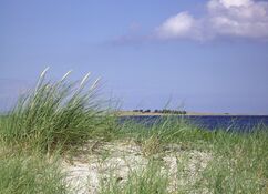 Blick durch grüne Strandgräser auf einer weißen Düne über dunkelblaues Wasser zu einer Halbinsel auf der anderen Seite der Bucht.