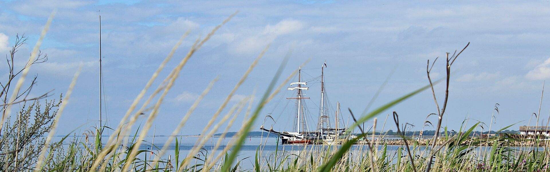 Vom gegenüberliegenden Ufer durch einen Schilfgürtel aufgenommes Foto des Segelschiffs Banjaard an einem kleinen Steg auf Langeland liegend. Die Farben sind sommerlich-hell.