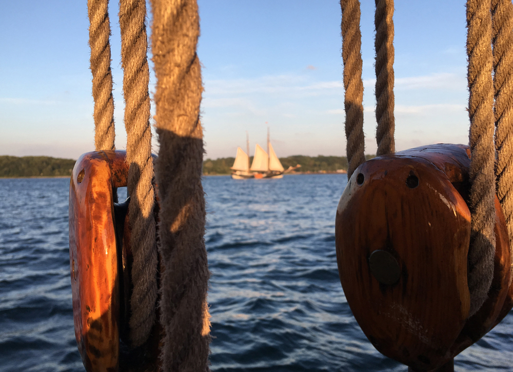 Tagesausfahrt Segelschiff Foerde Kieler Woche